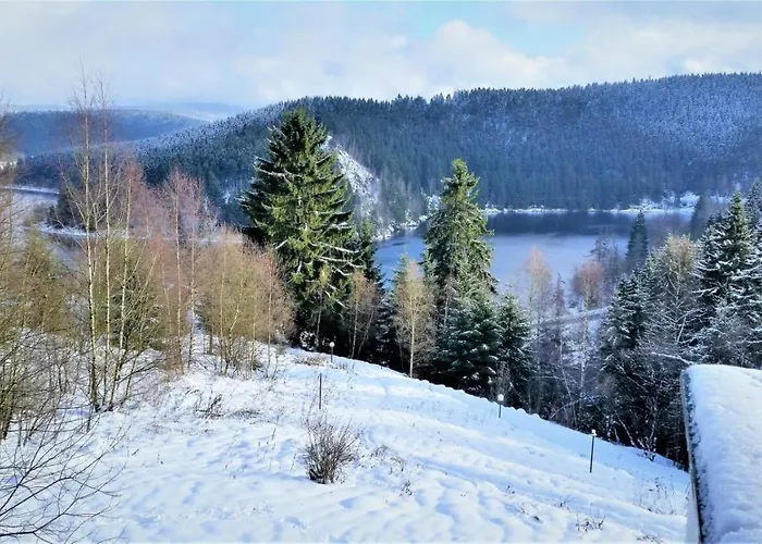 Harz-see-lodge Schulenberg im Oberharz